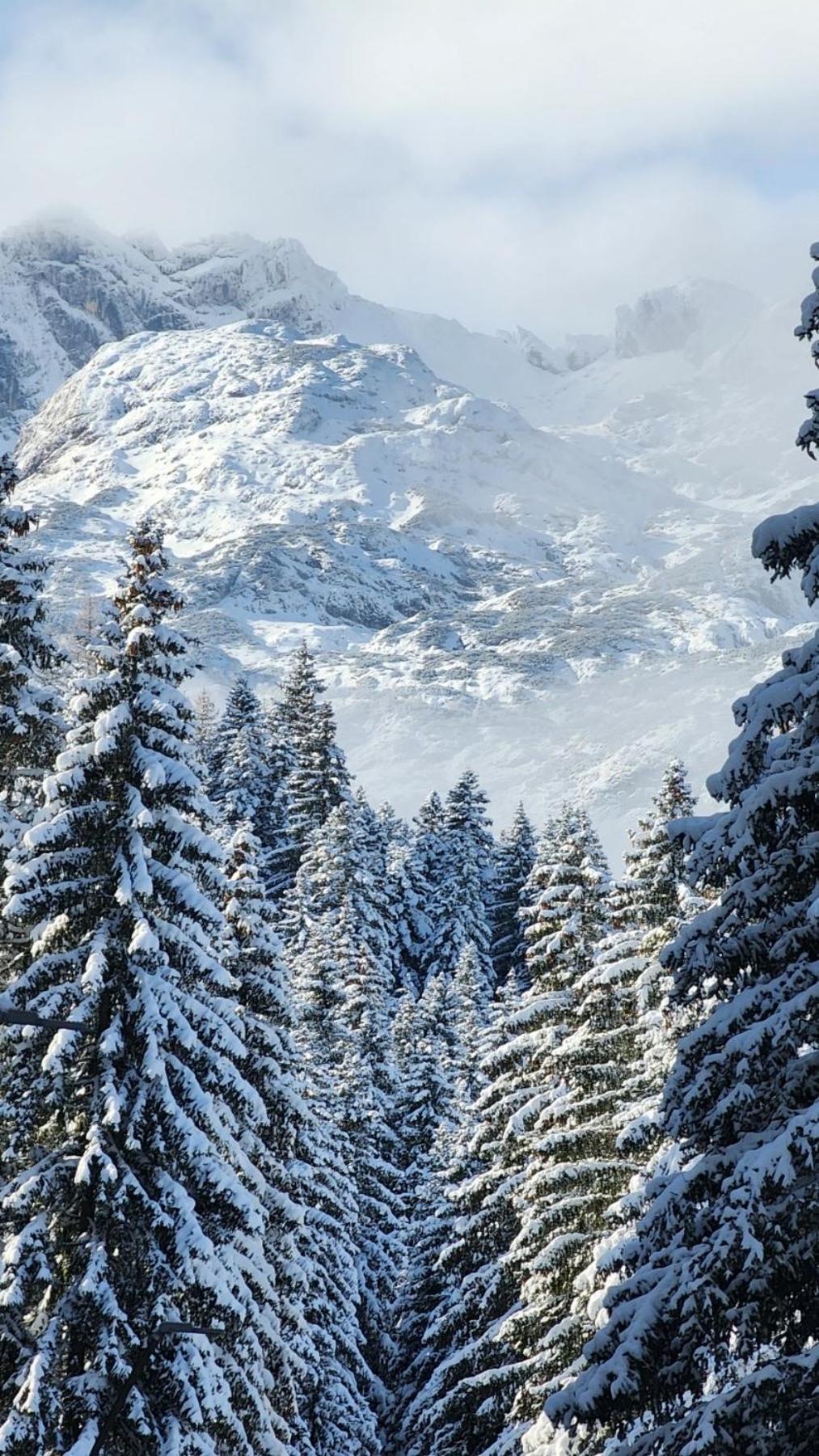 Apartment Cozy Lux Mountain Zabljak (Zabljak)